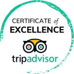 A circular teal brushstroke frame encloses a “CERTIFICATE OF EXCELLENCE” title and the TripAdvisor owl logo beneath it. End of sentence.
